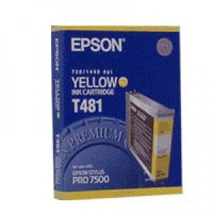 EPSON T481011 Ink Cartridge