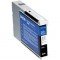 EPSON T545100 Ink Cartridge