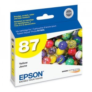 EPSON T087420 INK CARTRIDGE